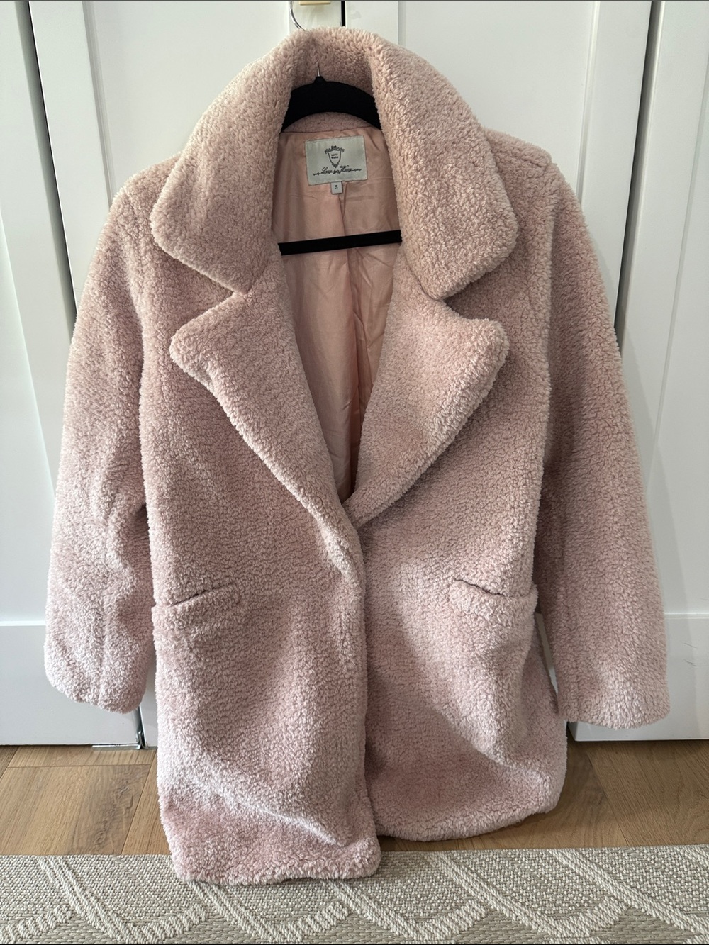 Women's Blush Teddy Coat - Soft Oversized Plush Jacket